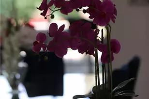 14 Calle Lantana, Palm Desert, CA 92260 - Photo 24