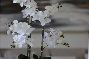 77724 Justin Ct, Palm Desert, CA 92211 - Photo 28