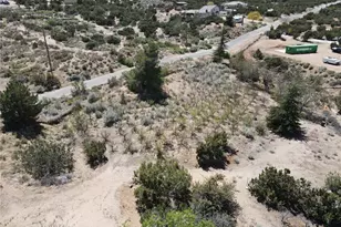 3010 Silver Ridge Dr, Pinon Hills, CA 92372 - Photo 50