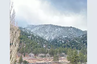 26601 Big Pines, Wrightwood, CA 92397 - Photo 2