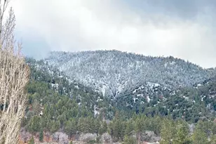 26601 Big Pines, Wrightwood, CA 92397 - Photo 2