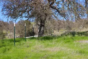 40461 Long Hollow Dr, Coarsegold, CA 93614 - Photo 28