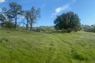 40461 Long Hollow Dr, Coarsegold, CA 93614 - Photo 8