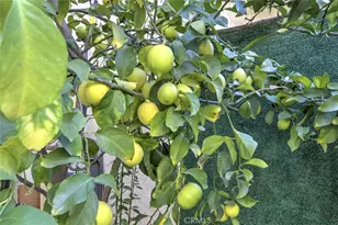 12325 Sweetbriar, Pacoima, CA 91331 - Photo 24