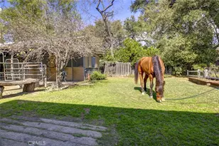 4345 Oakwood, La Canada Flintridge, CA 91011 - Photo 50