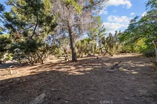 8676 Sky Line Dr, Pinon Hills, CA 92372 - Photo 46