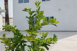 8435 Rincon, Los Angeles, CA 91352 - Photo 46