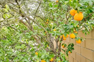 5005 Grand Ave, Montclair, CA 91763 - Photo 68