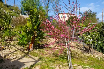 9336 Wayside Drive, Sunland, CA 91040 - Photo 26