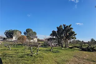 9878 Wilson Ranch, Phelan, CA 92371 - Photo 22