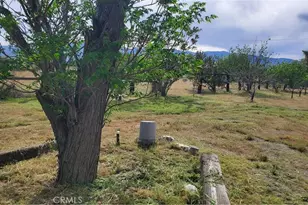 9878 Wilson Ranch, Phelan, CA 92371 - Photo 24