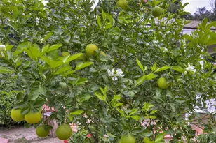 11350 Orcas, Sylmar, CA 91342 - Photo 24