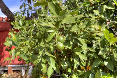 1029 E Galatea, Azusa, CA 91702 - Photo 16