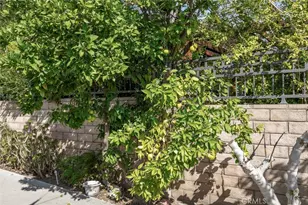 314 E Randolph St, Glendale, CA 91207 - Photo 42