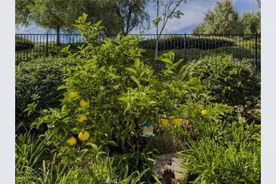 408 Calle Canela, San Dimas, CA 91773 - Photo 8