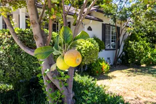 6331 Murietta Ave, Van Nuys, CA 91401 - Photo 48