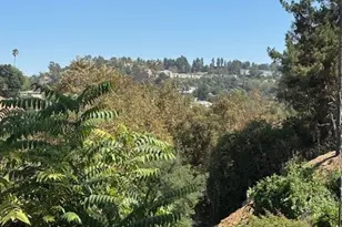 6050 Hayes, Los Angeles, CA 90042 - Photo 8