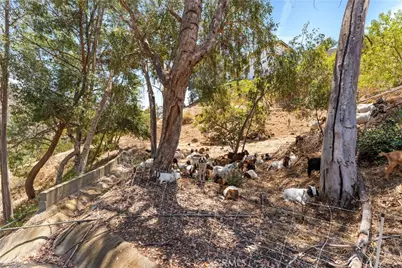 77 Barmore Ct, Glendale, CA 91206 - Photo 40