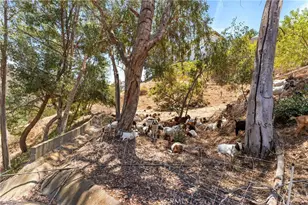 77 Barmore Ct, Glendale, CA 91206 - Photo 40