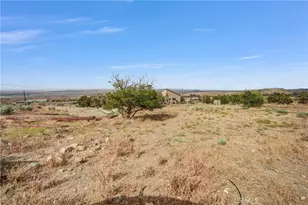 10392 Cima Mesa Rd, Juniper Hills, CA 93543 - Photo 10