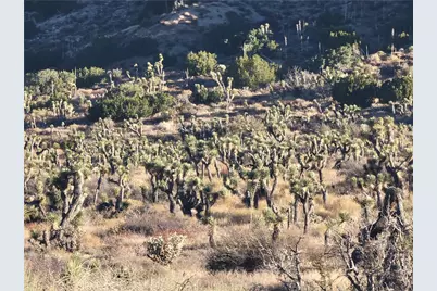 300 E Z12 Street, Llano, CA 93544 - Photo 18