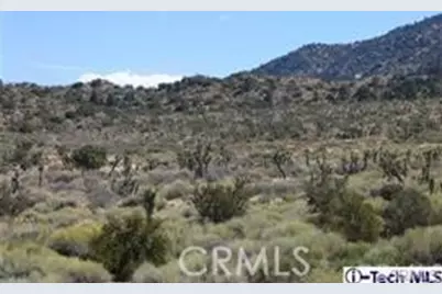 300 E Z12 Street, Llano, CA 93544 - Photo 24