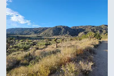 300 E Z12 Street, Llano, CA 93544 - Photo 12