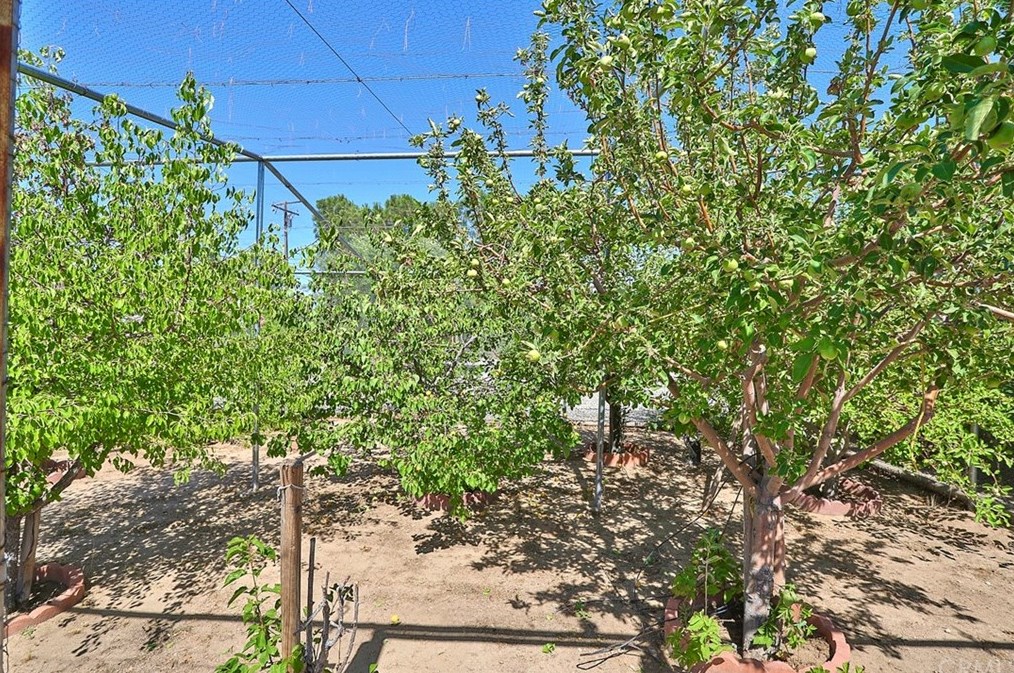 8356 Hickory Ave, Hesperia CA  92345-3818 exterior