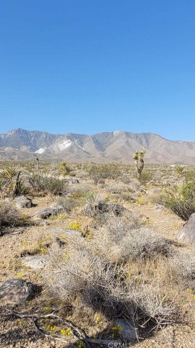 8255 Custer Ave, Lucerne Valley CA  92356-7252 exterior