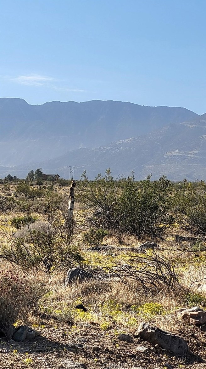 8255 Custer Ave, Lucerne Valley CA  92356-7252 exterior