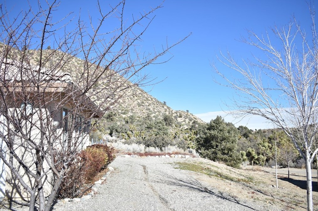 1510 Desert Front Rd, Wrightwood, CA 92397