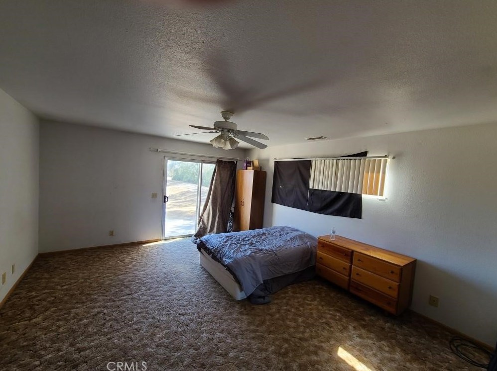 45028 Palos Verdes Rd, Newberry Springs CA  92365-9051 exterior