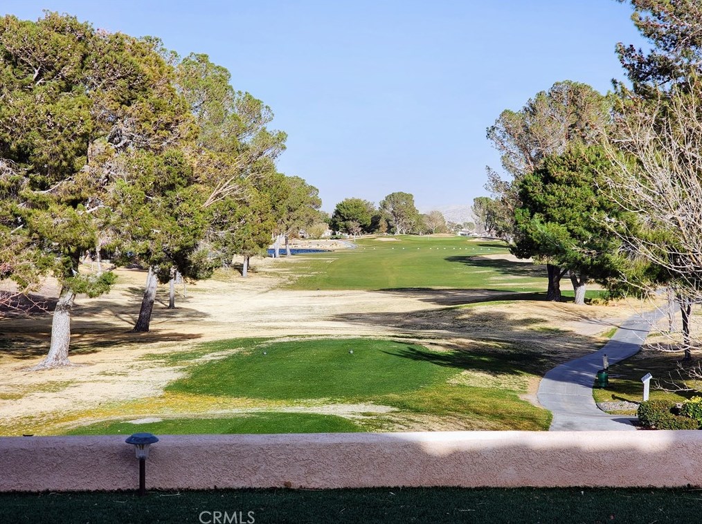 27497 Lakeview Dr, Helendale, CA 92342