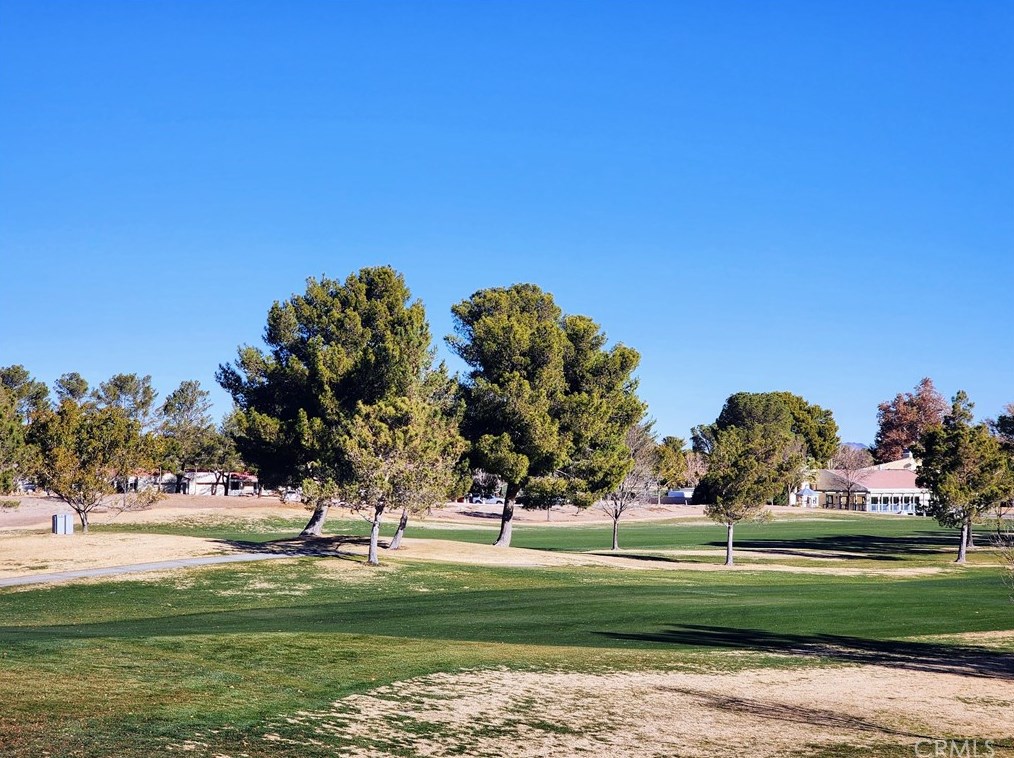27535 Lakeview Dr #17, Helendale, CA 92342
