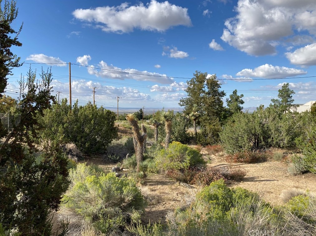 10025 Mountain Rd, Pinon Hills CA  92372-9393 exterior
