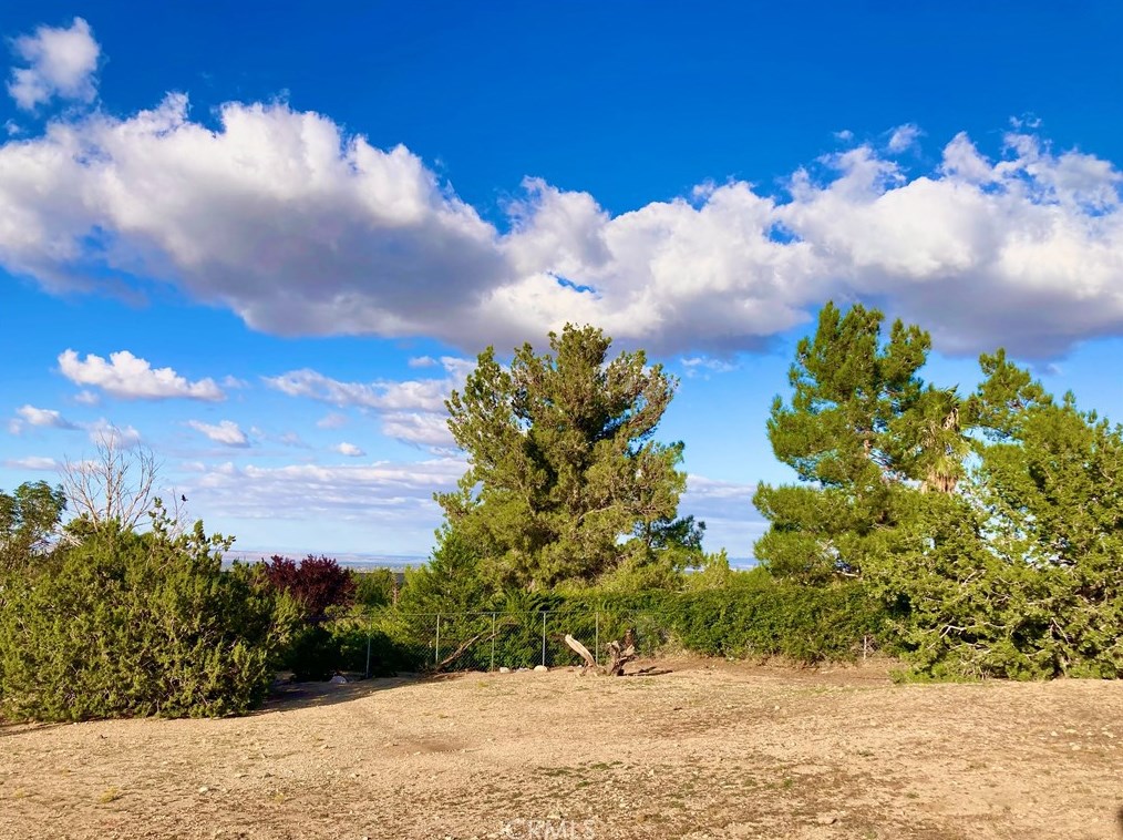 10025 Mountain Rd, Pinon Hills CA  92372-9393 exterior