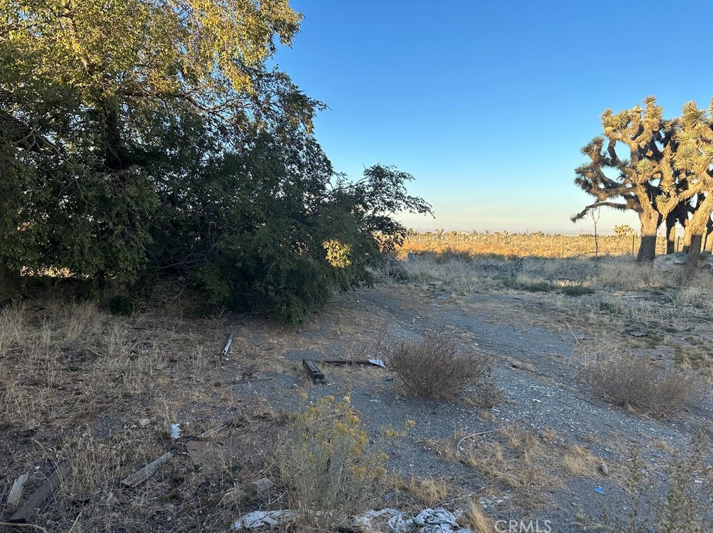 3887 Daisy Ln, Phelan CA  92371-6719 exterior