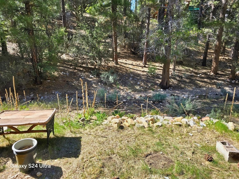 313 Sites Way, Big Bear City, CA 92314-9519