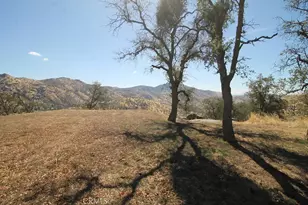 35616 Arrowhead Ln, Squaw Valley, CA 93675 - Photo 8