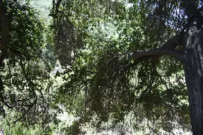 0 Vac Calle El Baranco/Vic Spunk, Green Valley, CA 91350 - Photo 10