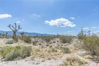 1323 Bear Valley Road, Pinon Hills, CA 92372 - Photo 14