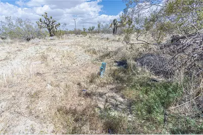 1323 Bear Valley Road, Pinon Hills, CA 92372 - Photo 8