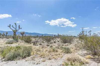 0 Bear Valley Road, Pinon Hills, CA 92372 - Photo 14