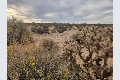 4147 Sunburst Street, Joshua Tree, CA 92252 - Photo 14