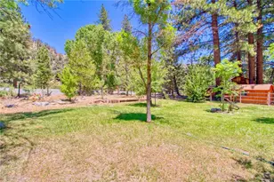 960 Snowbird Rd, Wrightwood, CA 92397 - Photo 48