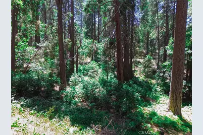 590 Electra Drive, Crestline, CA 92325 - Photo 12