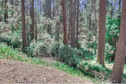 590 Electra Drive, Crestline, CA 92325 - Photo 6