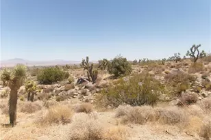8020 Miller Ranch Rd, Lucerne Valley, CA 92356 - Photo 1