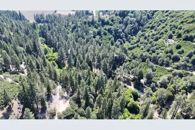 29629 Little Bear Creek Road, Cedar Glen, CA 92321 - Photo 18