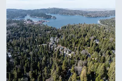 29629 Little Bear Creek Road, Cedar Glen, CA 92321 - Photo 2